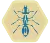 Hive ant.png
