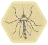Hive mosquito.png